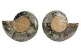 Black, Cut & Polished Ammonite Pair - Crystal Filled #166726-1